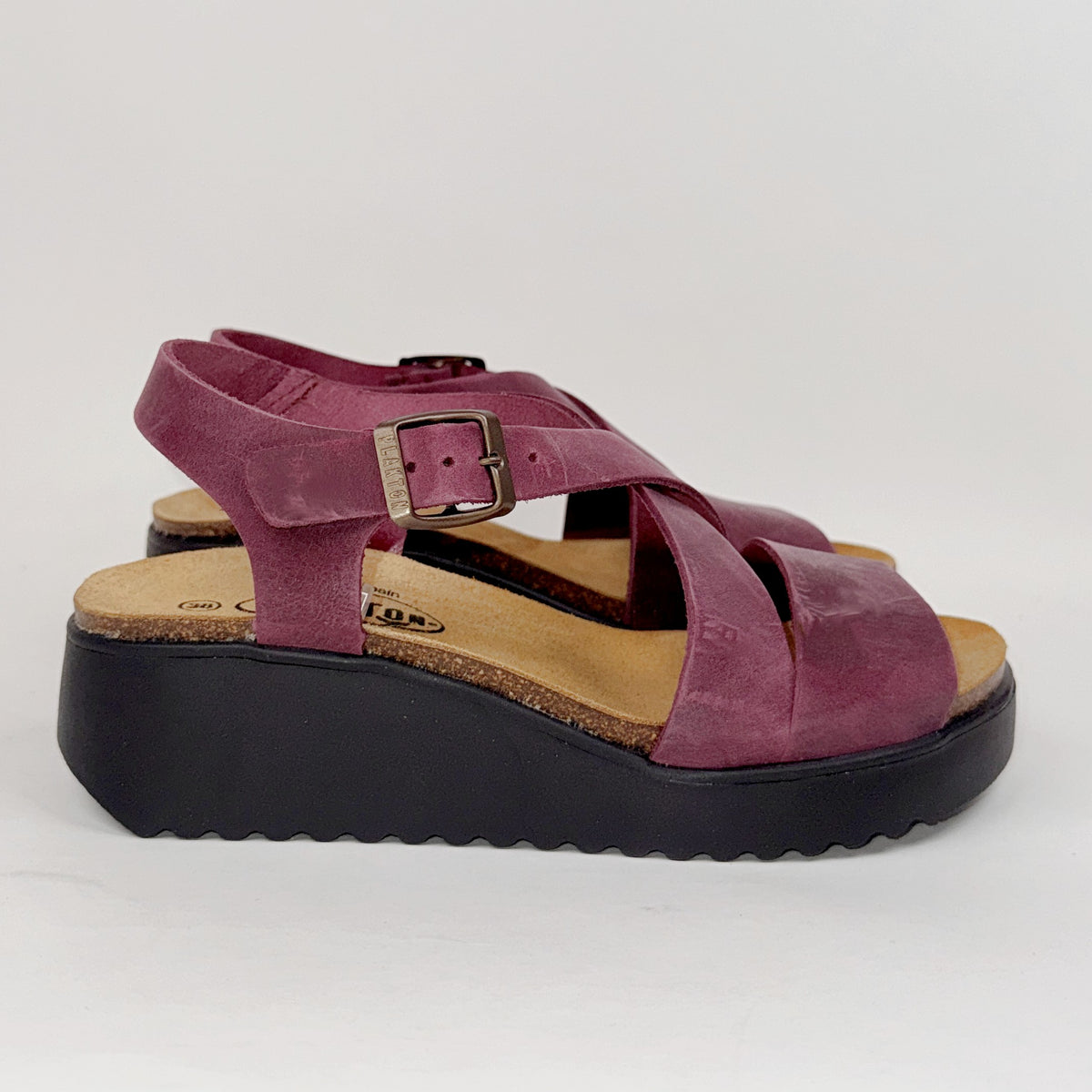 Plakton 336441 marron Plakton