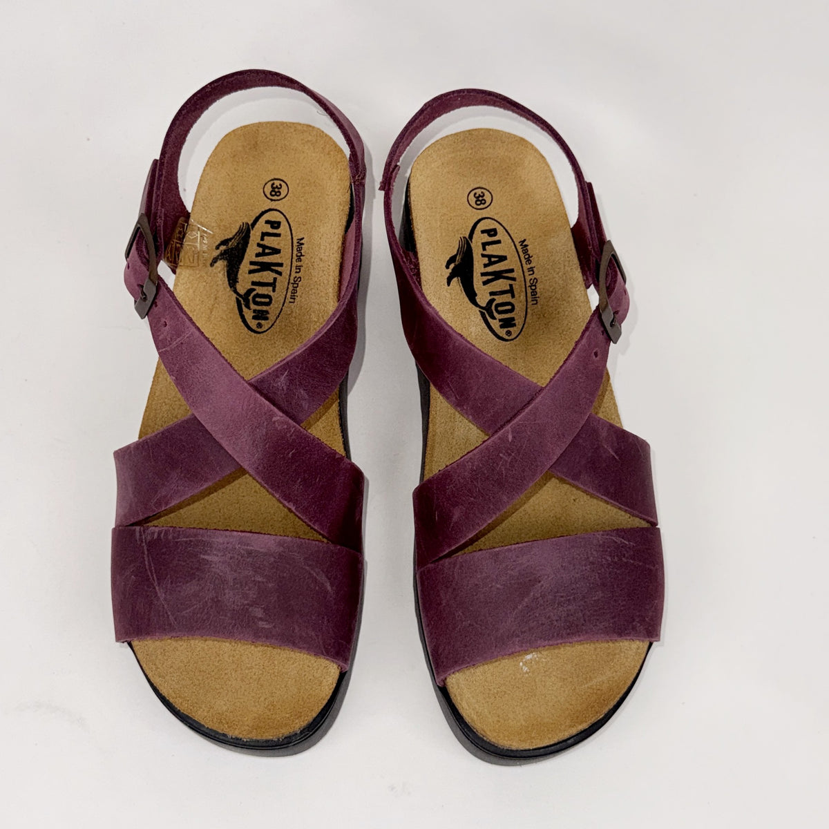 Plakton 336441 marron Plakton
