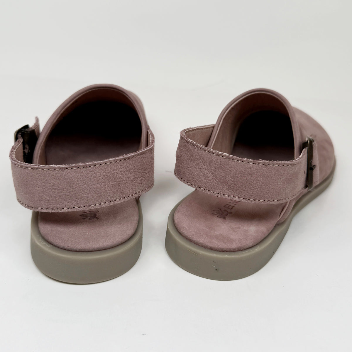 El Naturalista N5871 malva el naturalista