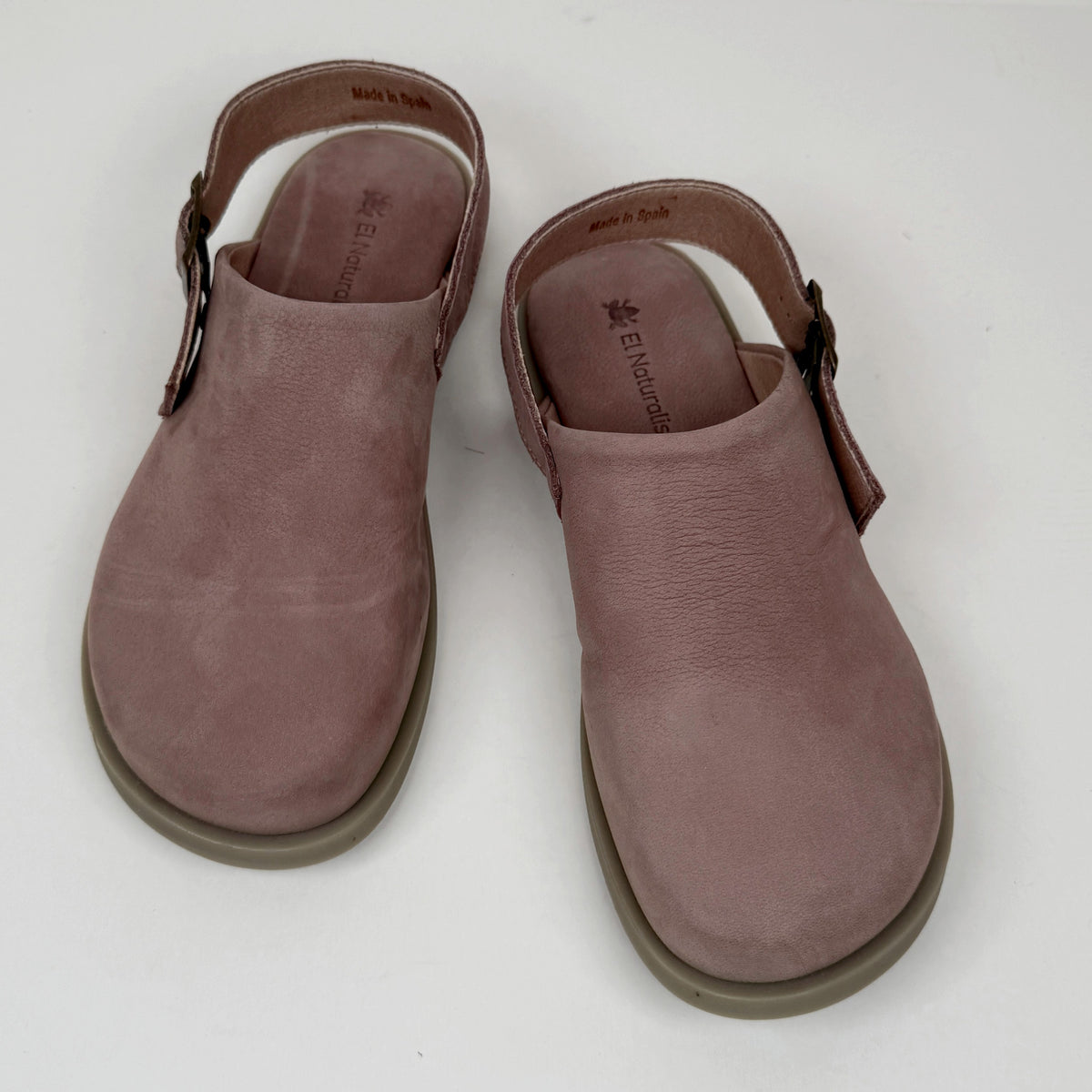 El Naturalista N5871 malva el naturalista