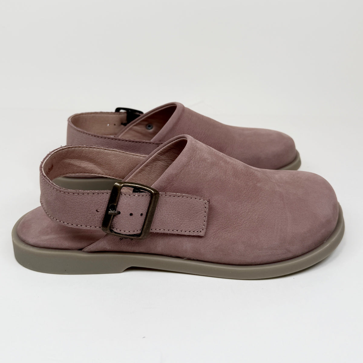 El Naturalista N5871 malva el naturalista