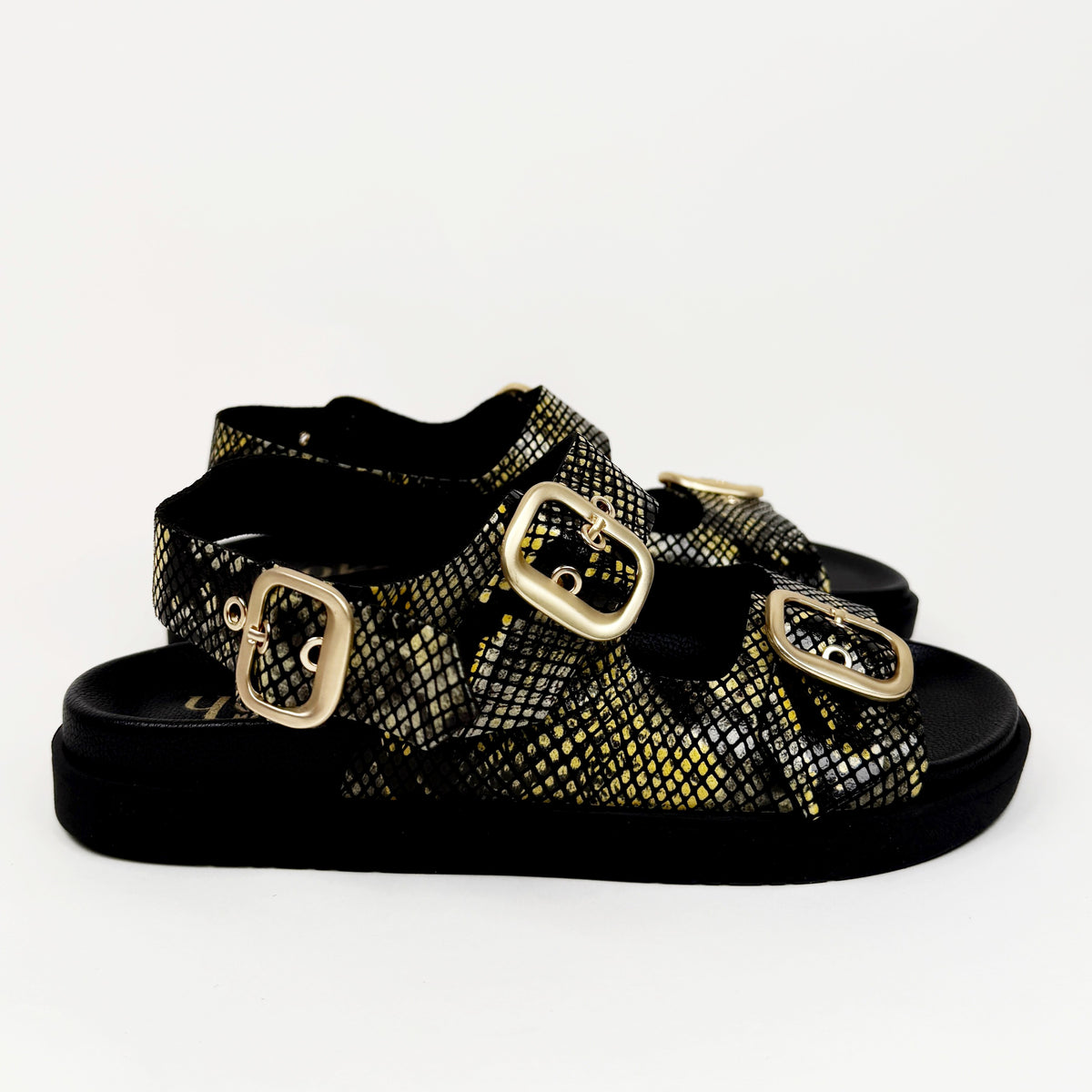 Yokono morena amorillo yokono