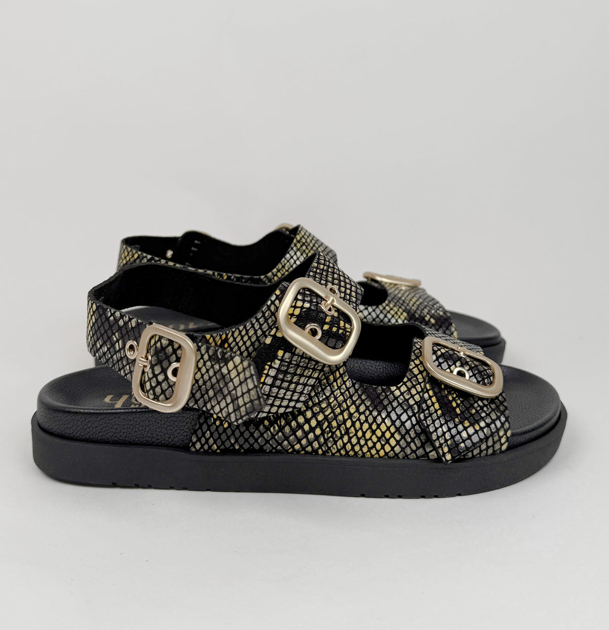 Yokono morena amorillo