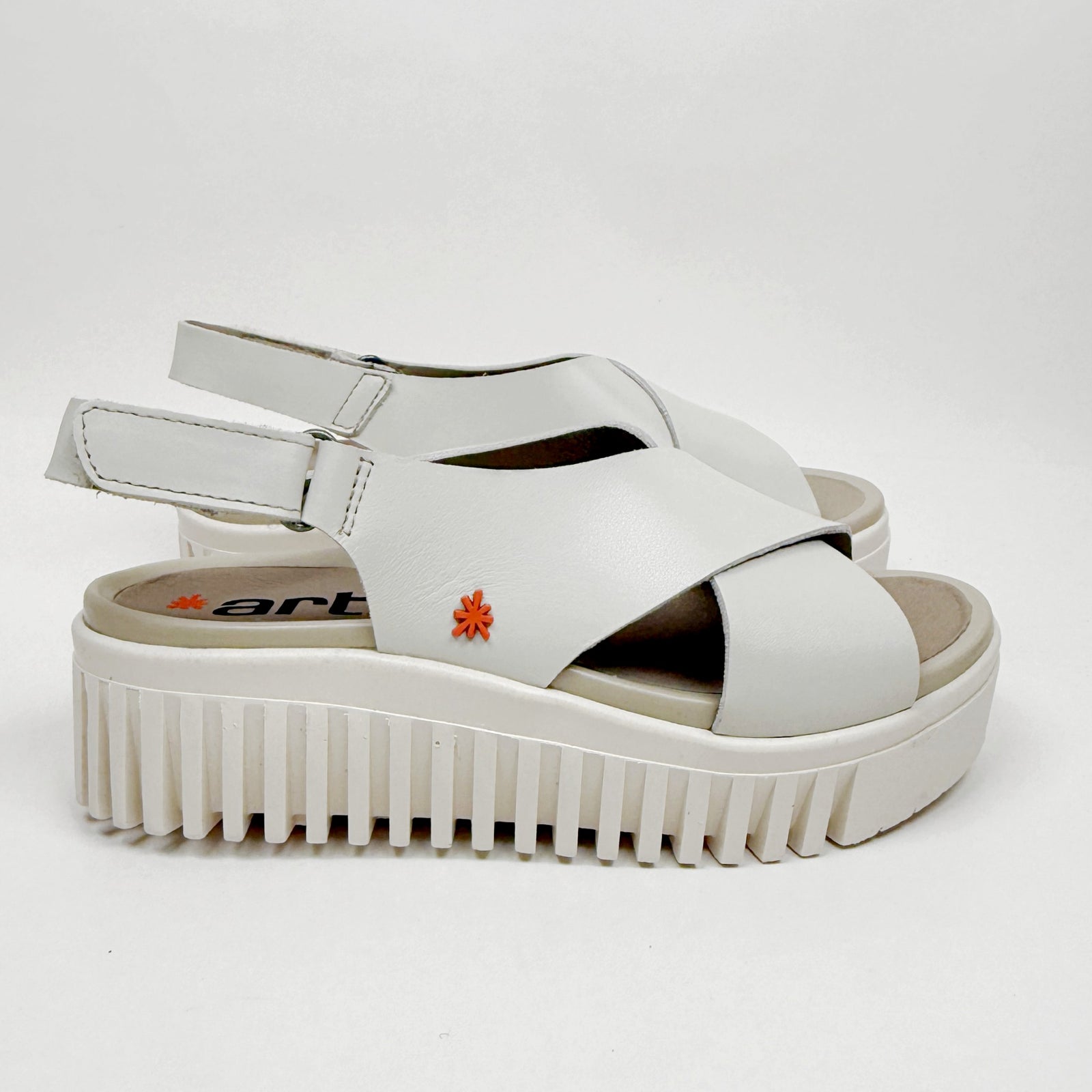 Art 1574 bone size 36 Art