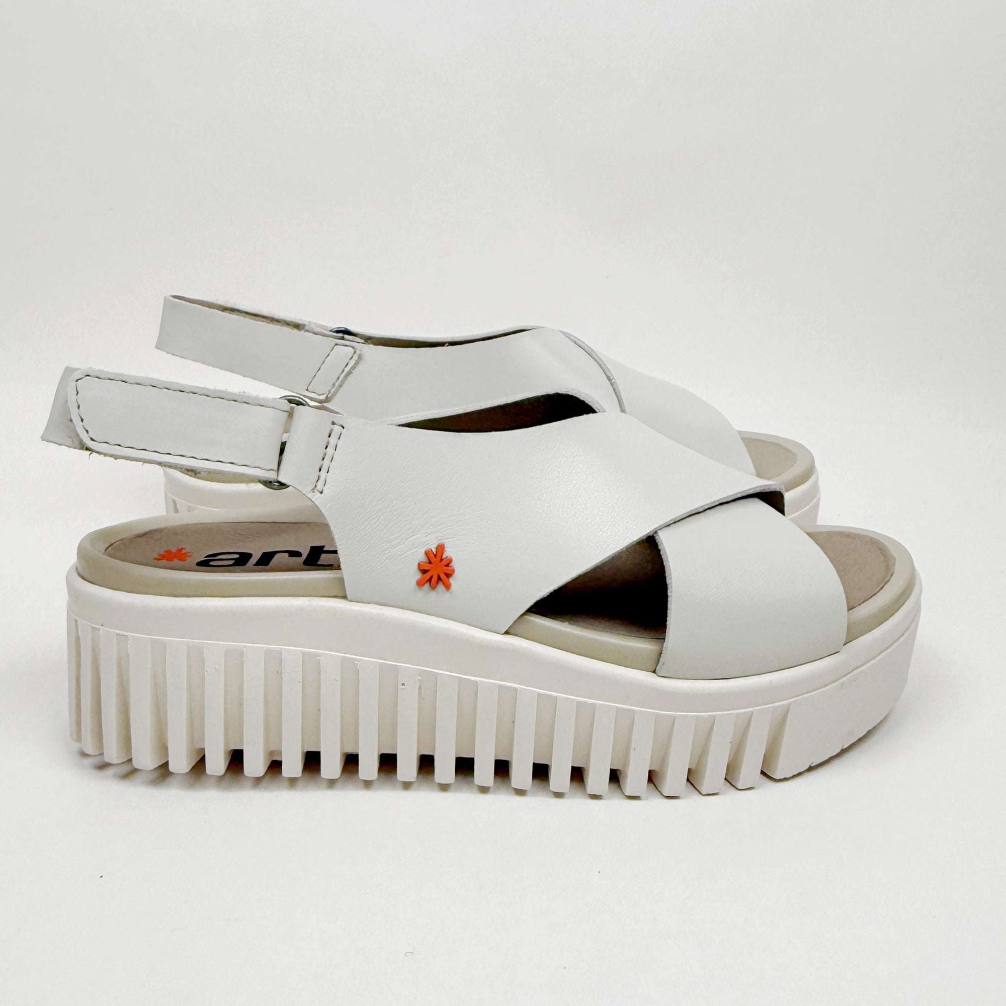 Art 1574 bone size 36 Art