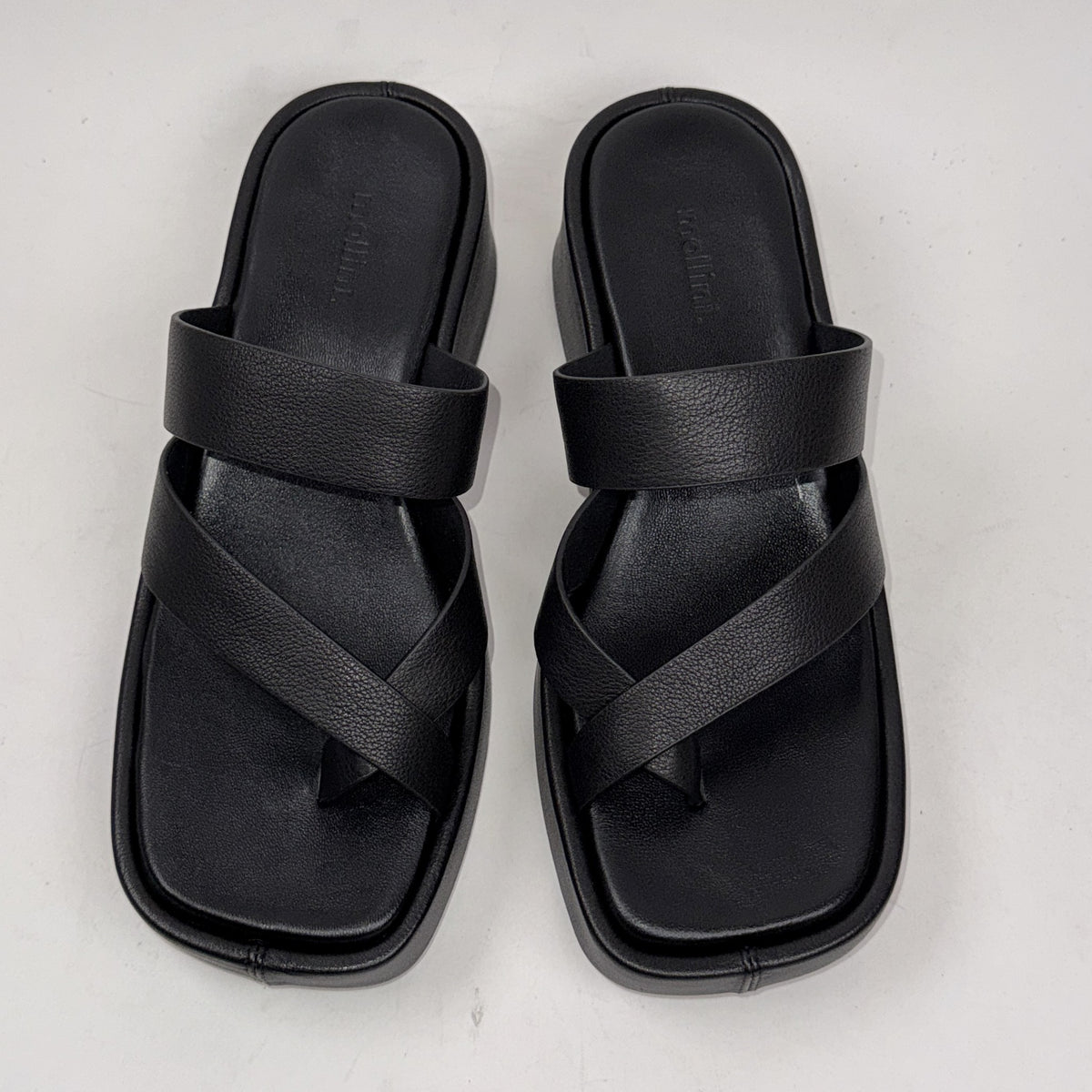Mollini Cittle black Mollini