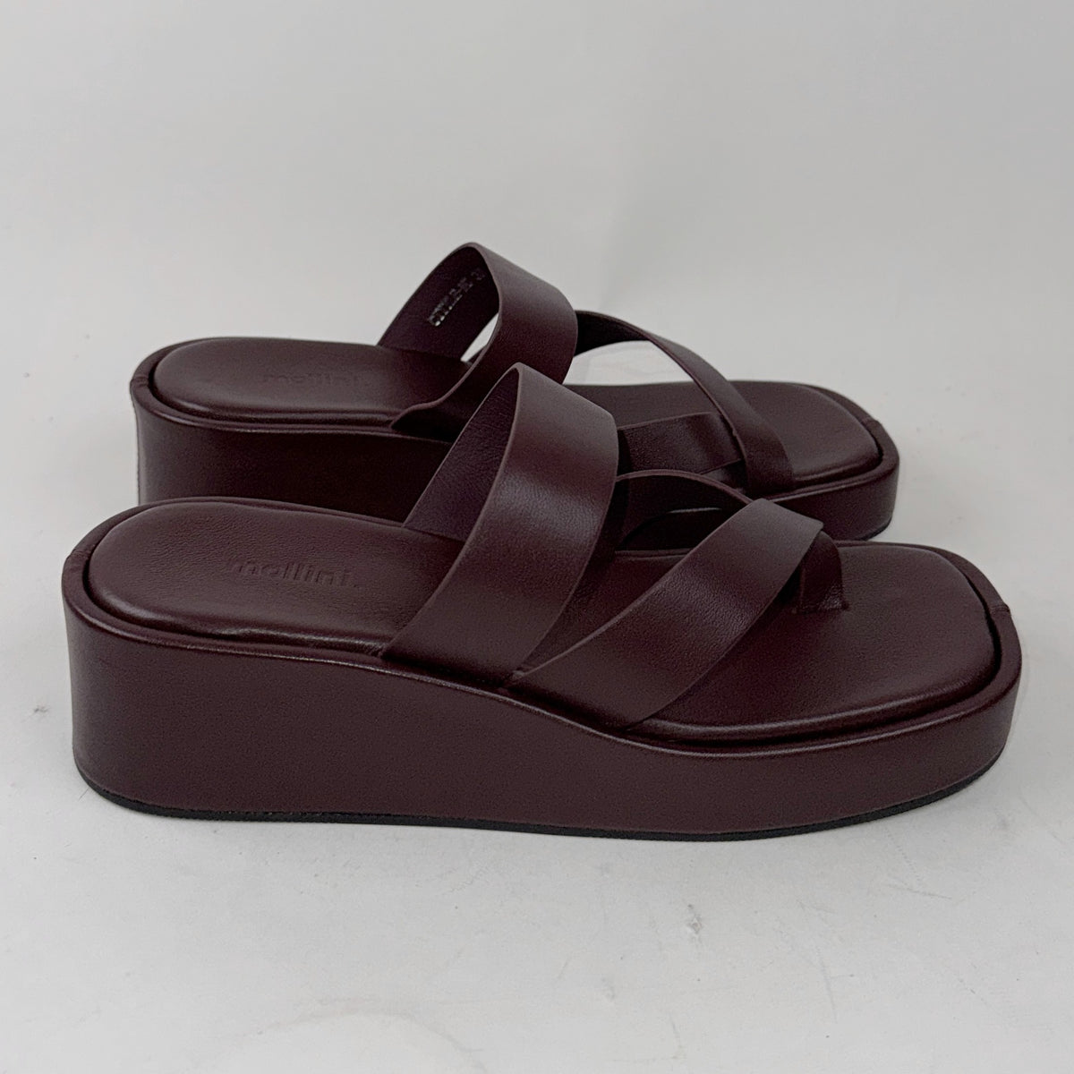 Mollini Cittle bordeaux Mollini