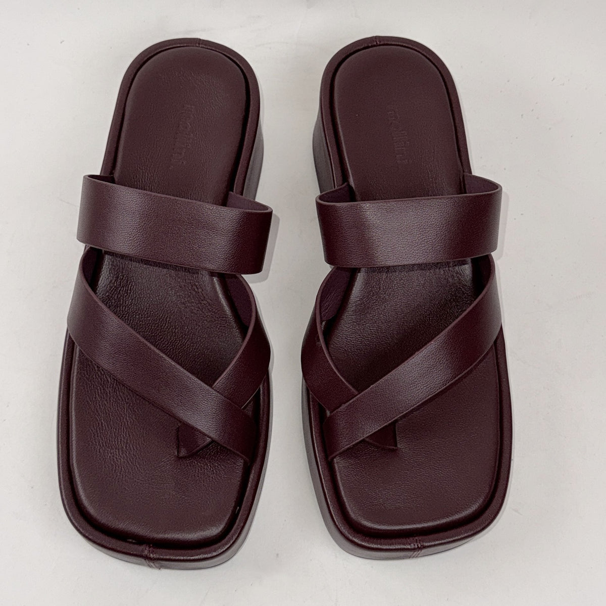 Mollini Cittle bordeaux Mollini