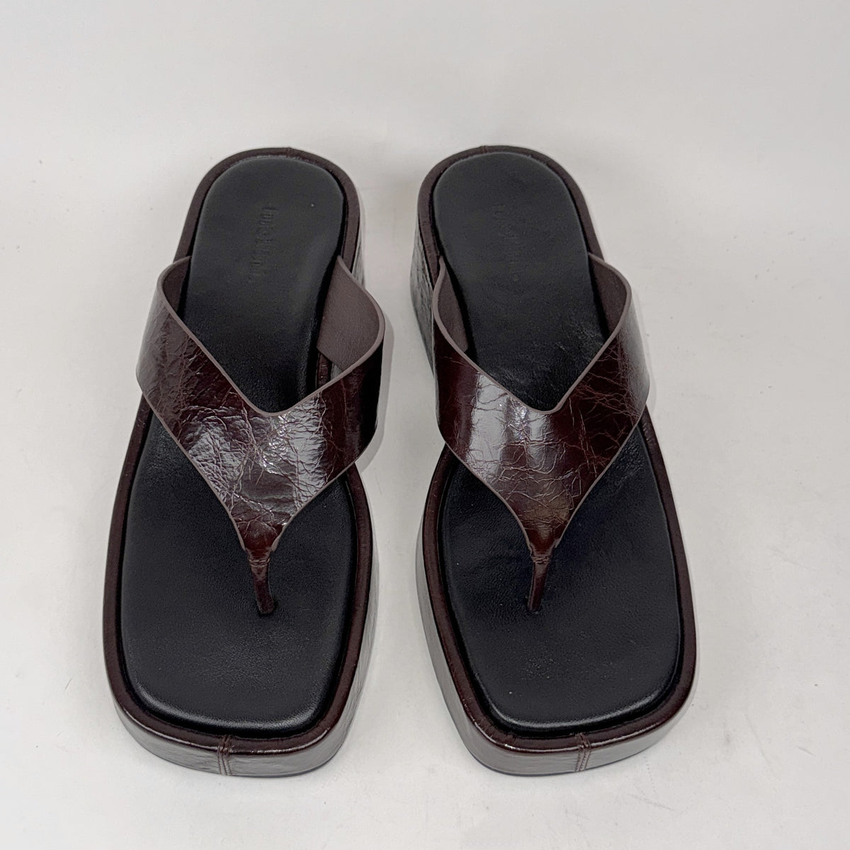 Mollini Coastin choc Mollini