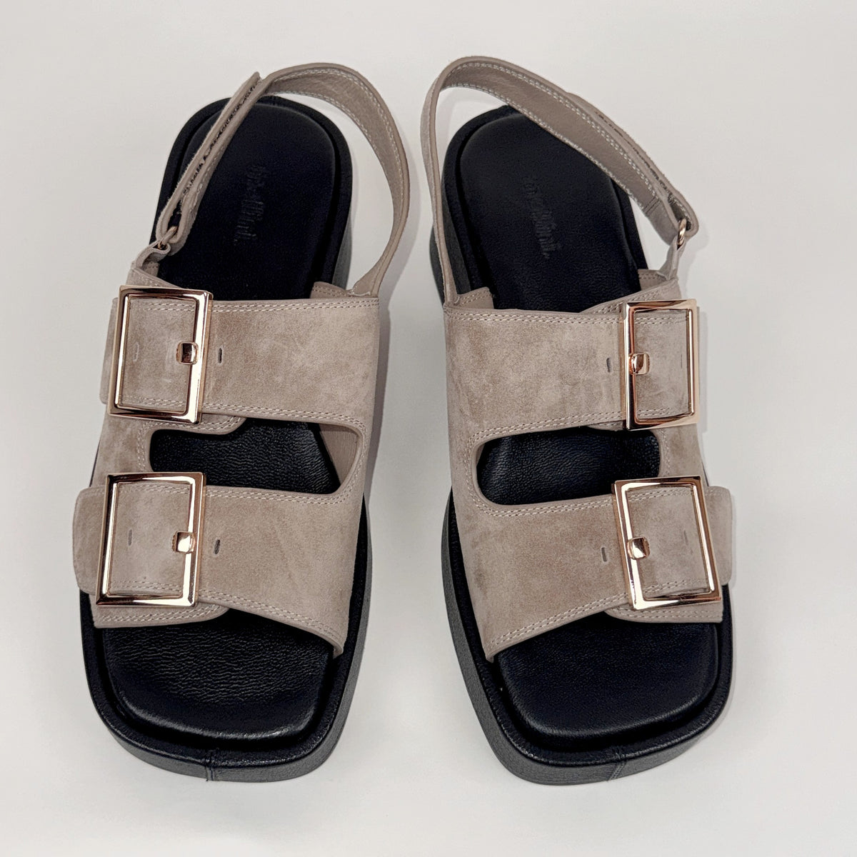 Mollini Corris taupe Mollini