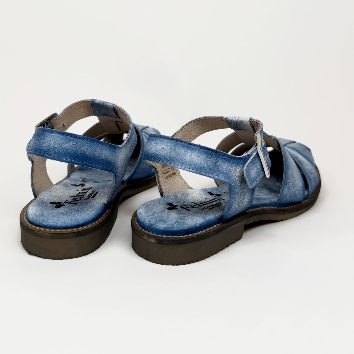 Felmini E087-b mare blue felmini