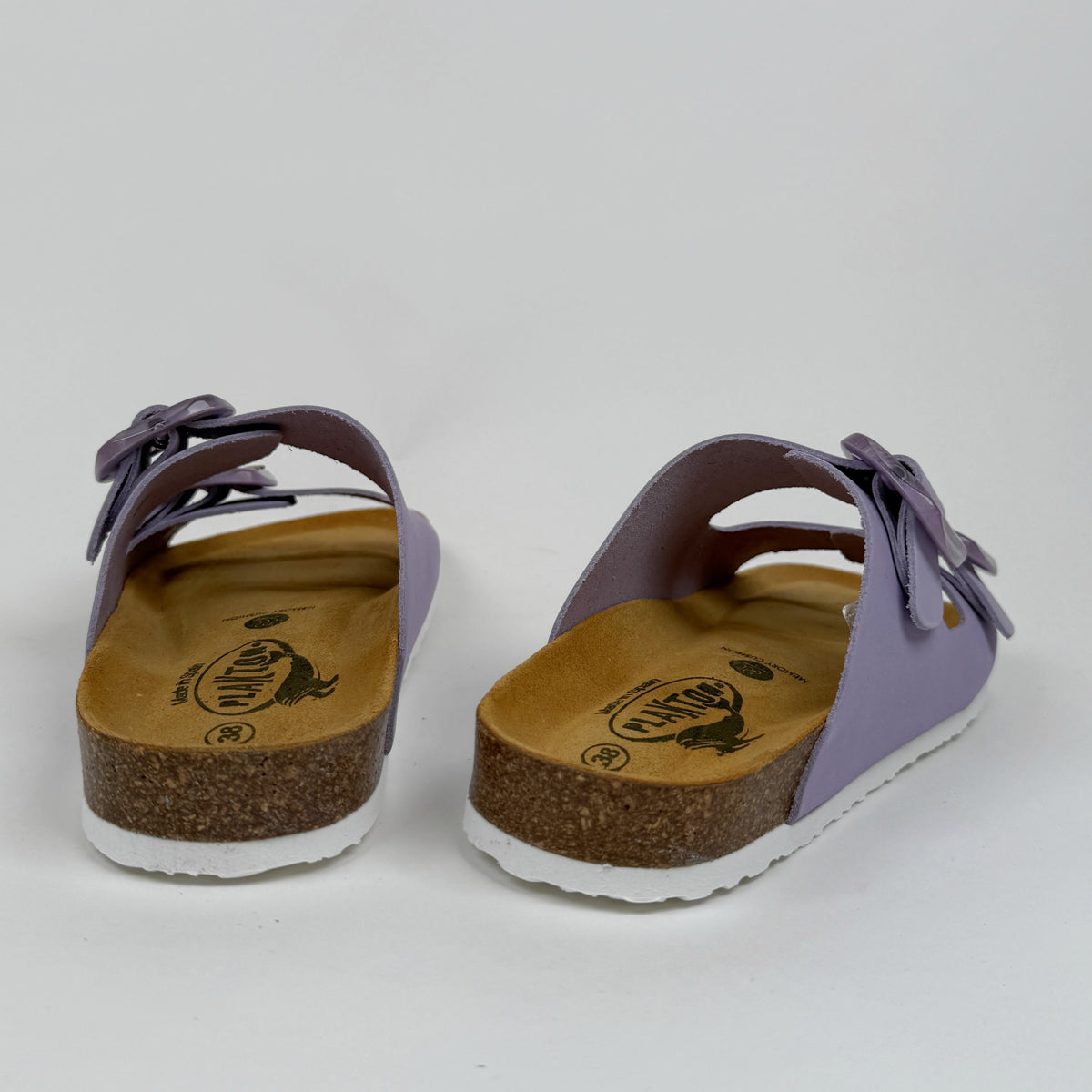 Plakton florida glicine