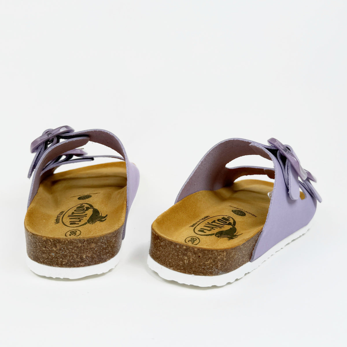 Plakton florida glicine Plakton