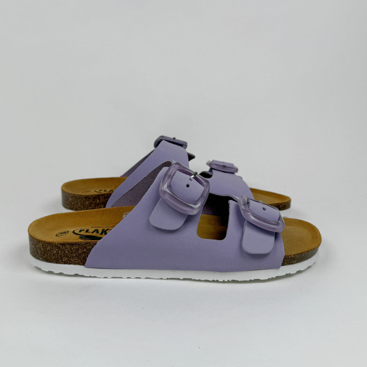 Plakton florida glicine