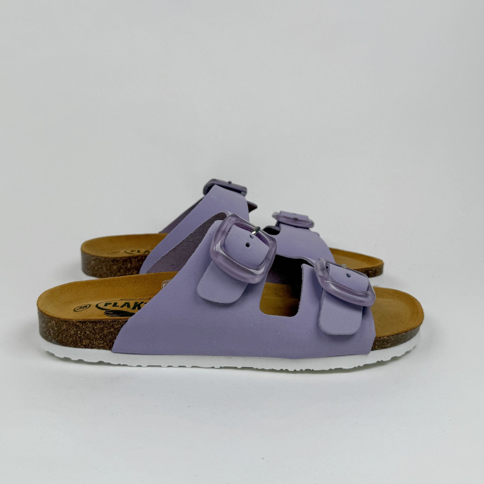 Plakton florida glicine