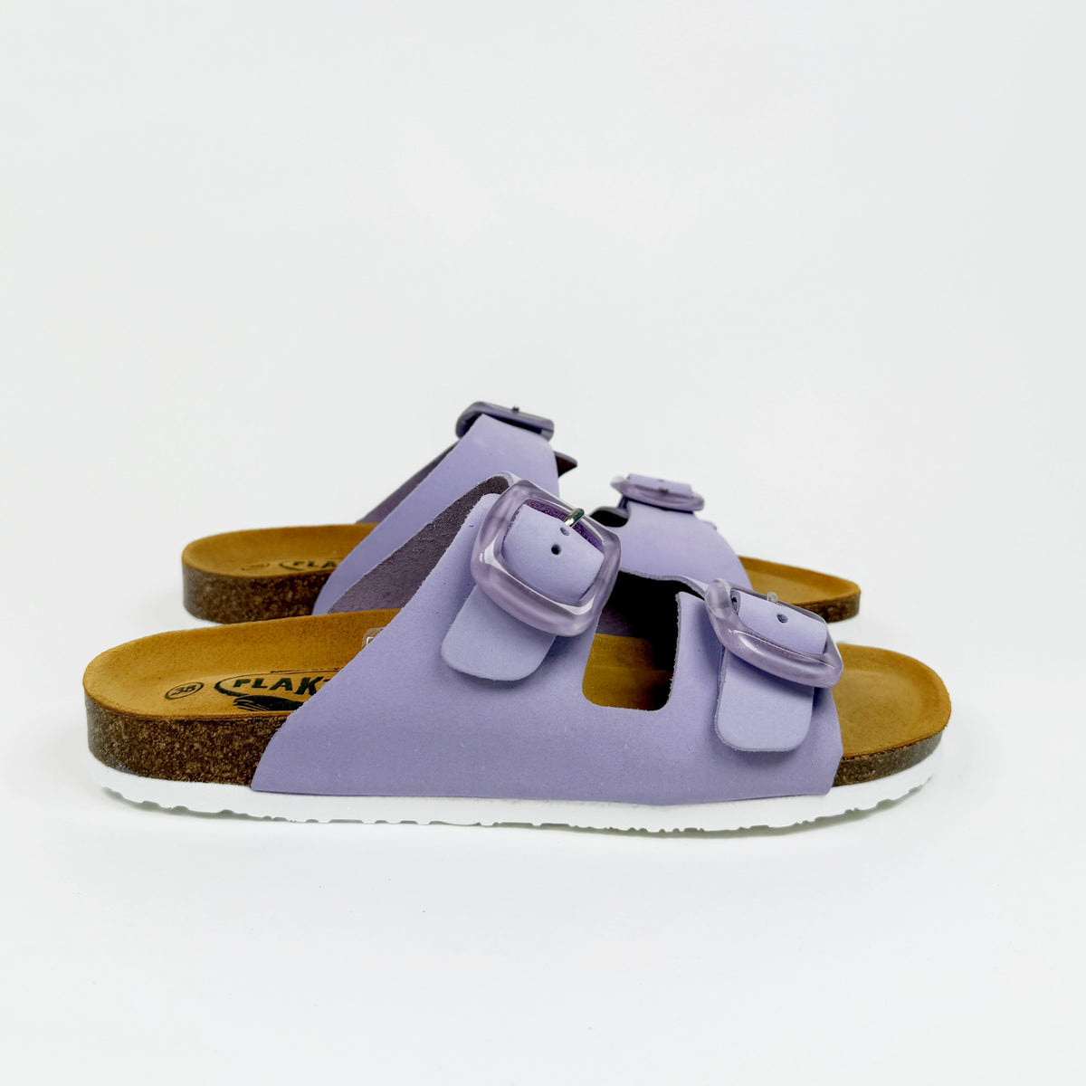 Plakton florida glicine Plakton