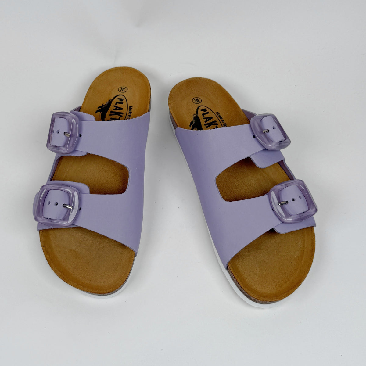 Plakton florida glicine