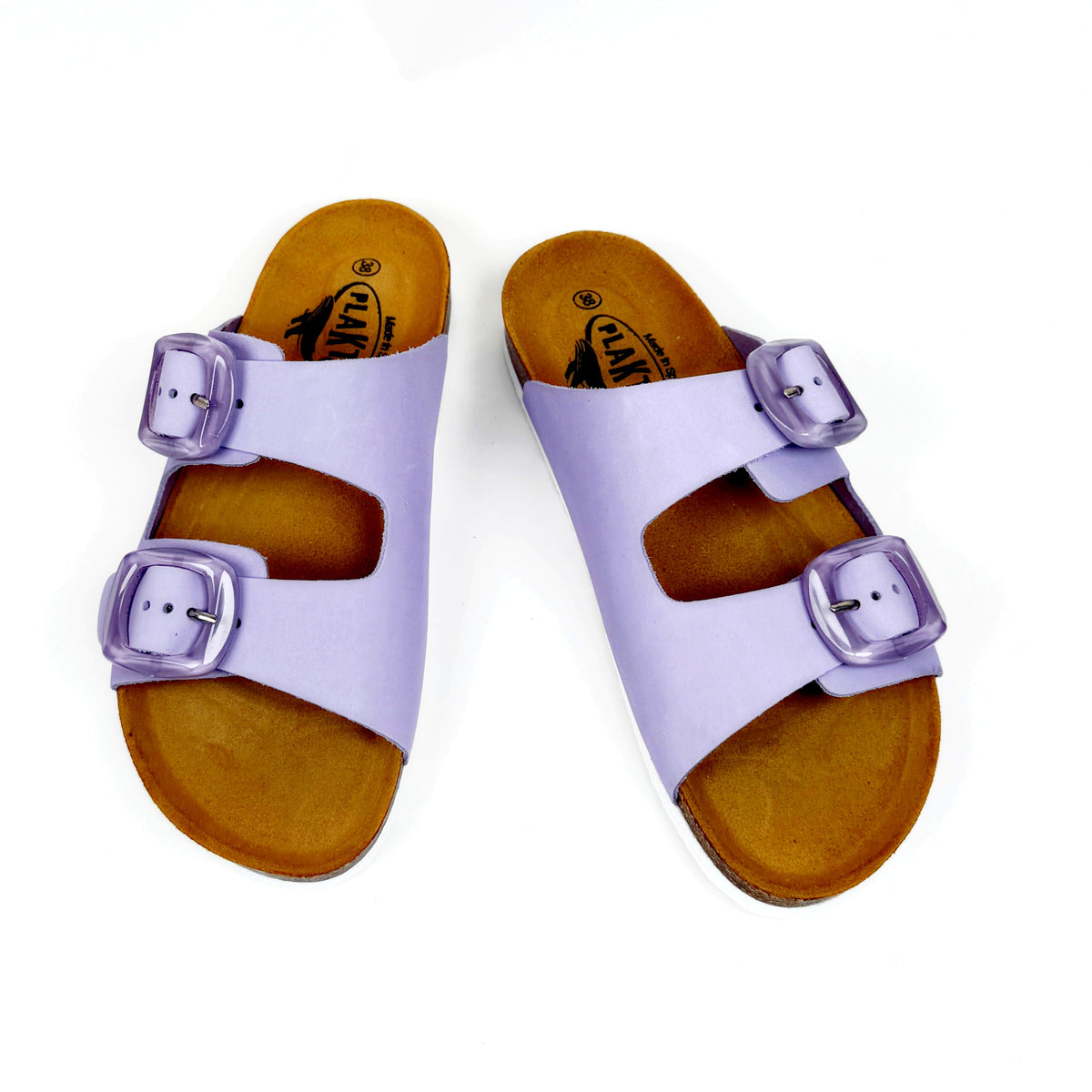 Plakton florida glicine Plakton