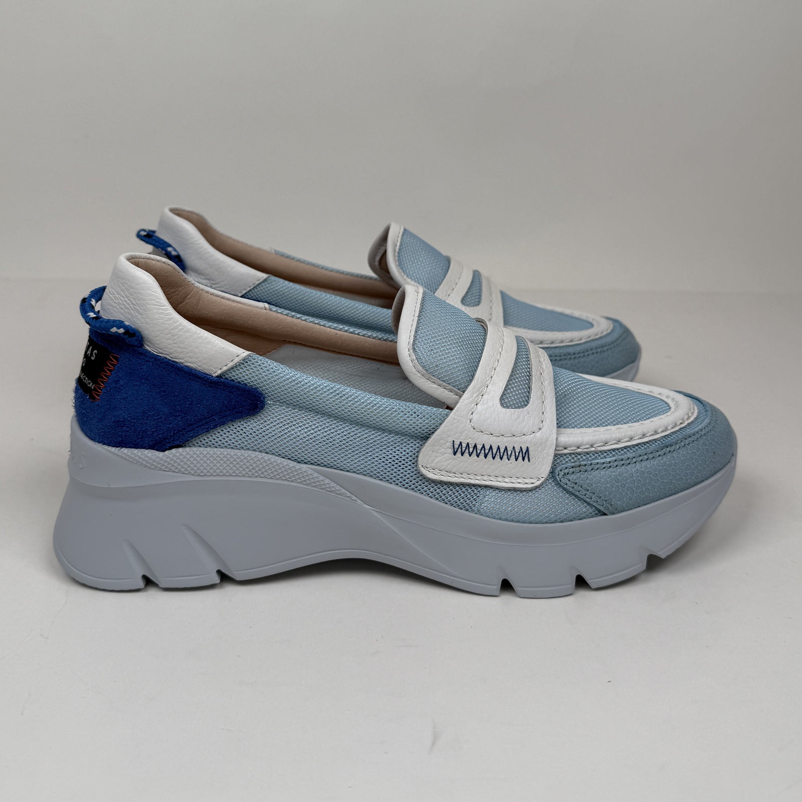 Hispanitas albarin celeste