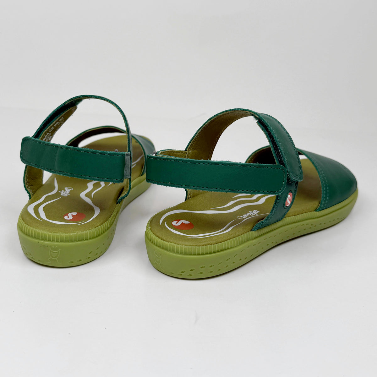 Softino Indi Amazon Softino