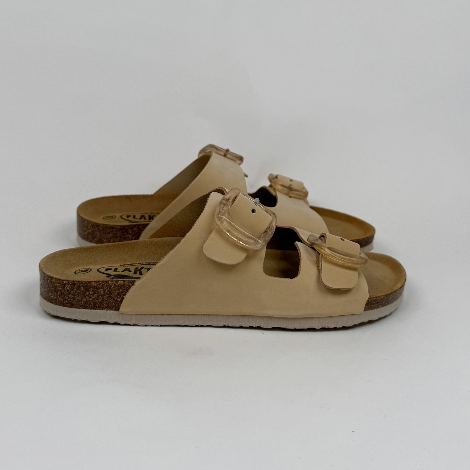 Plakton Florida incas