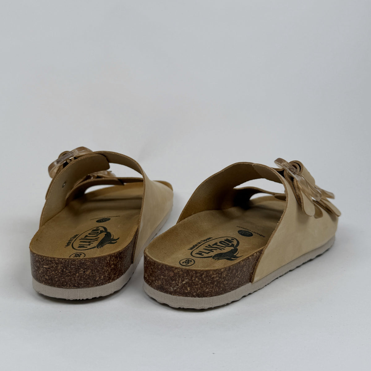 Plakton Florida incas