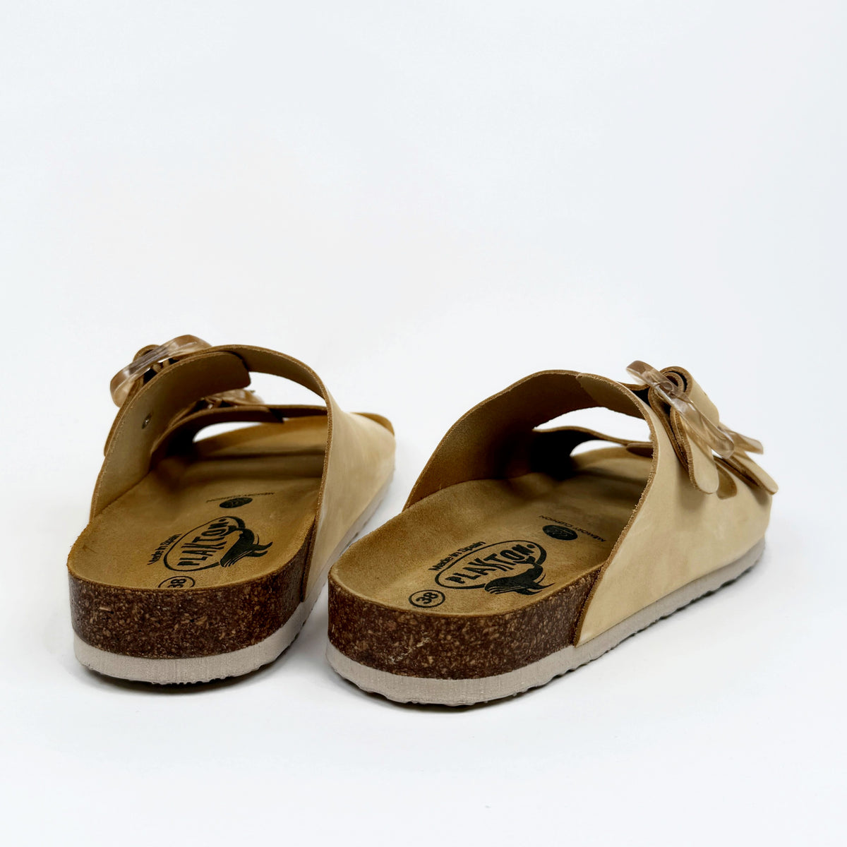 Plakton Florida incas Plakton