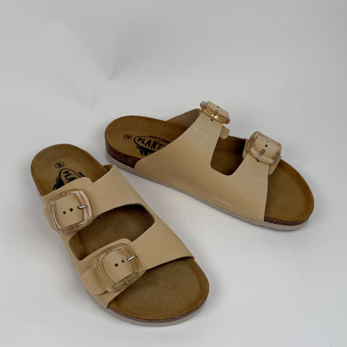 Plakton Florida incas