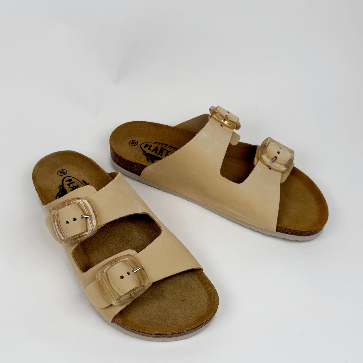 Plakton Florida incas Plakton