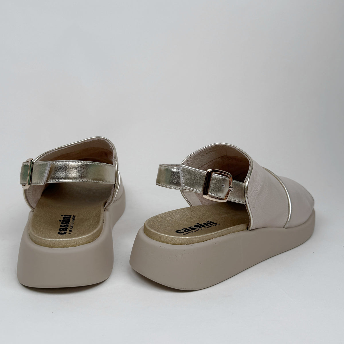 Cassini madeline egret cassini