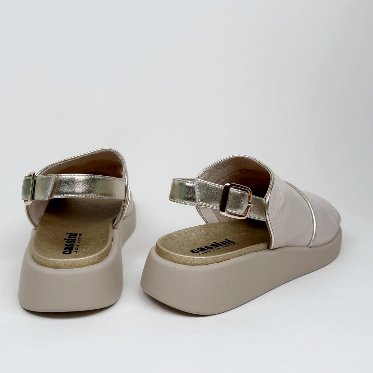 Cassini madeline egret cassini