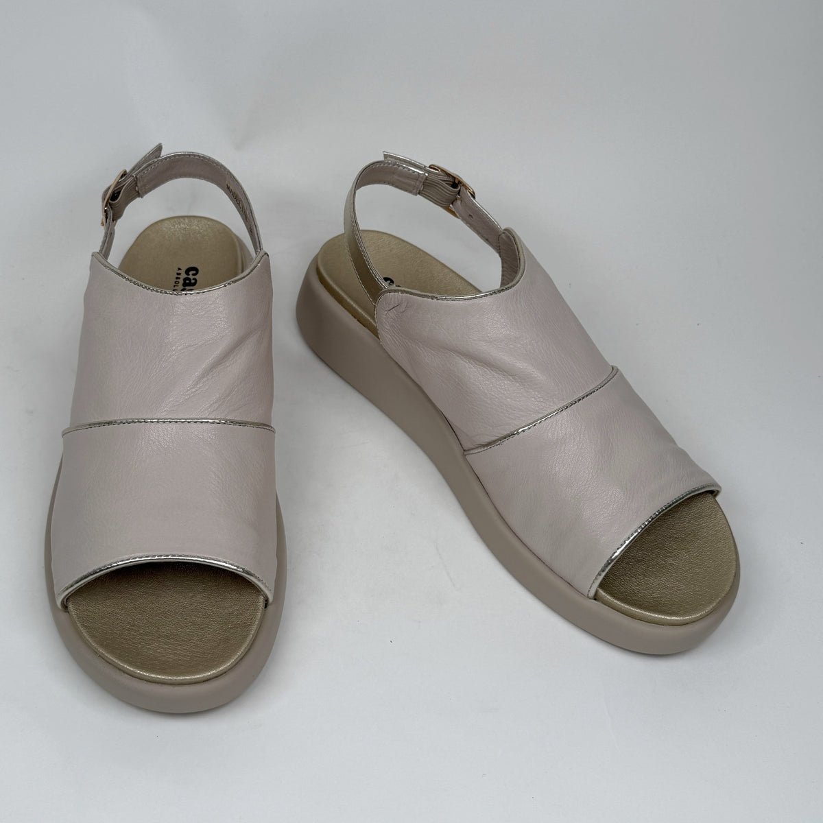 Cassini madeline egret cassini