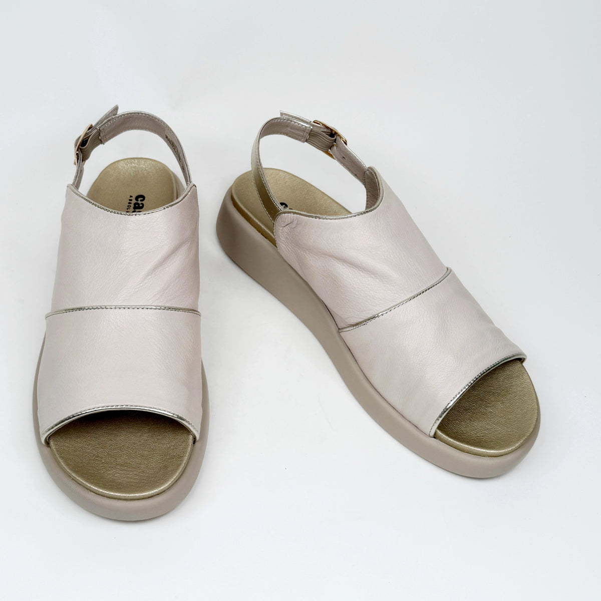 Cassini madeline egret cassini