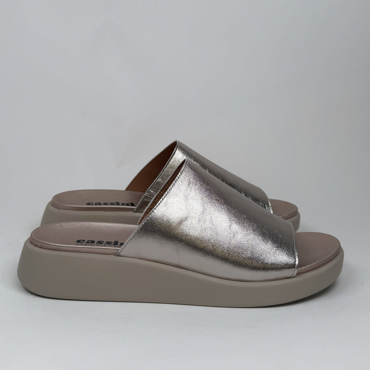 Cassini magnify champagne cassini