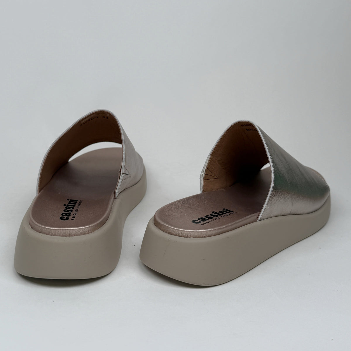 Cassini magnify champagne cassini