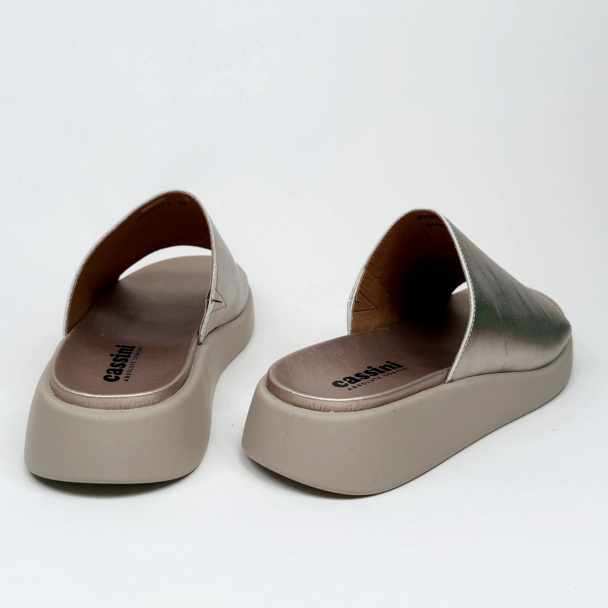 Cassini magnify champagne cassini