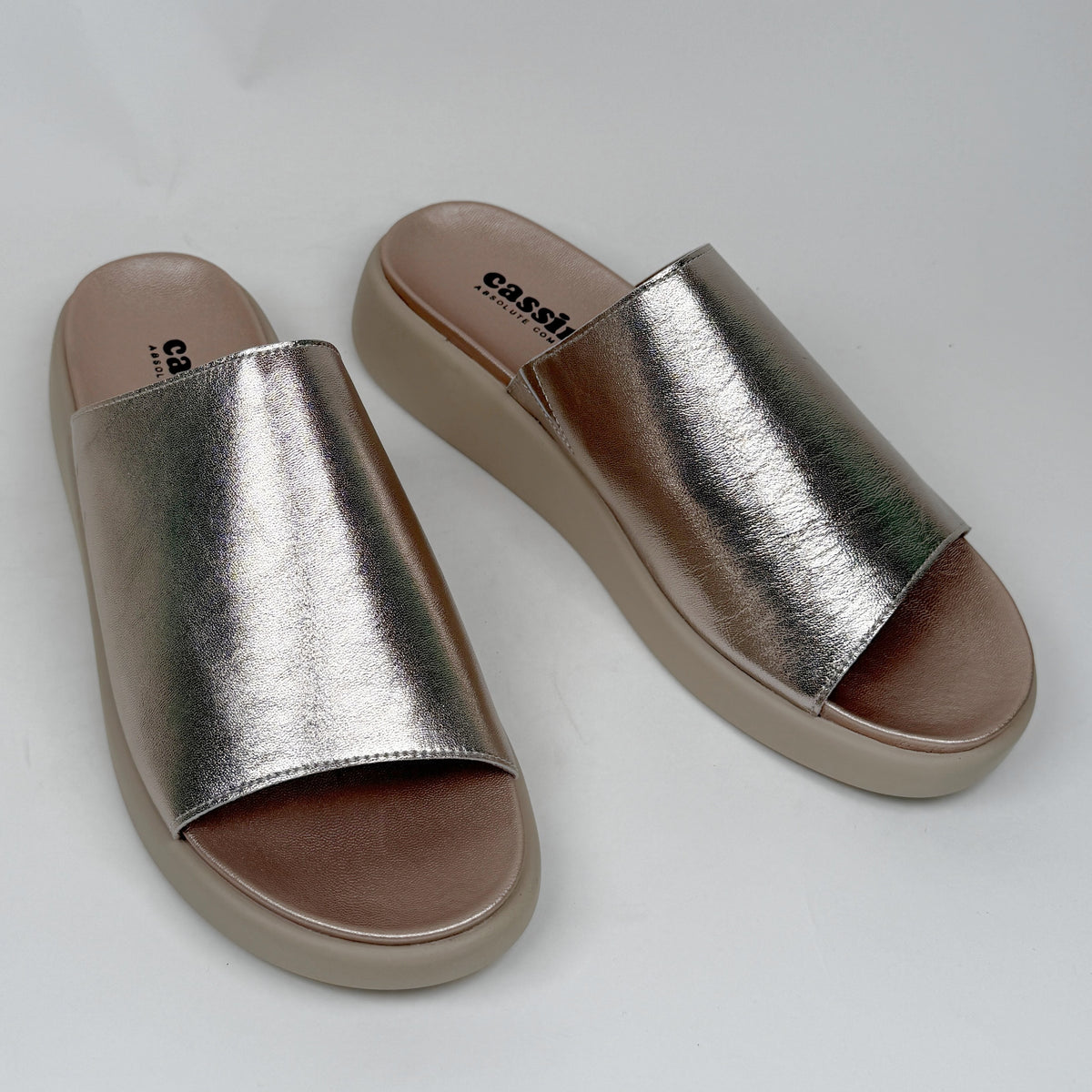 Cassini magnify champagne cassini