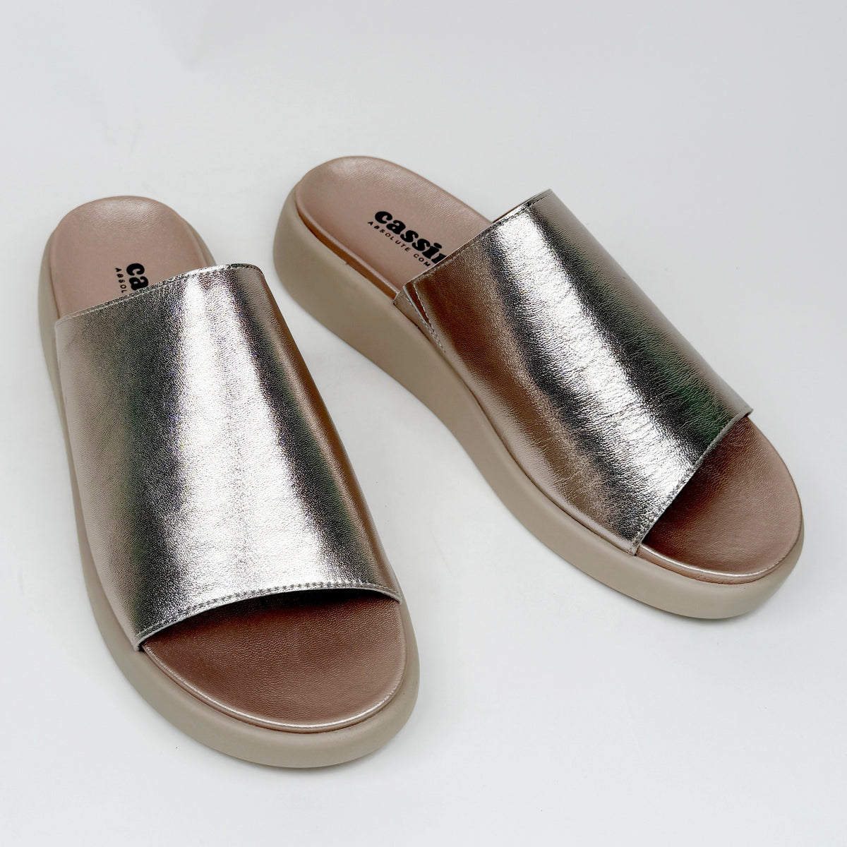 Cassini magnify champagne cassini