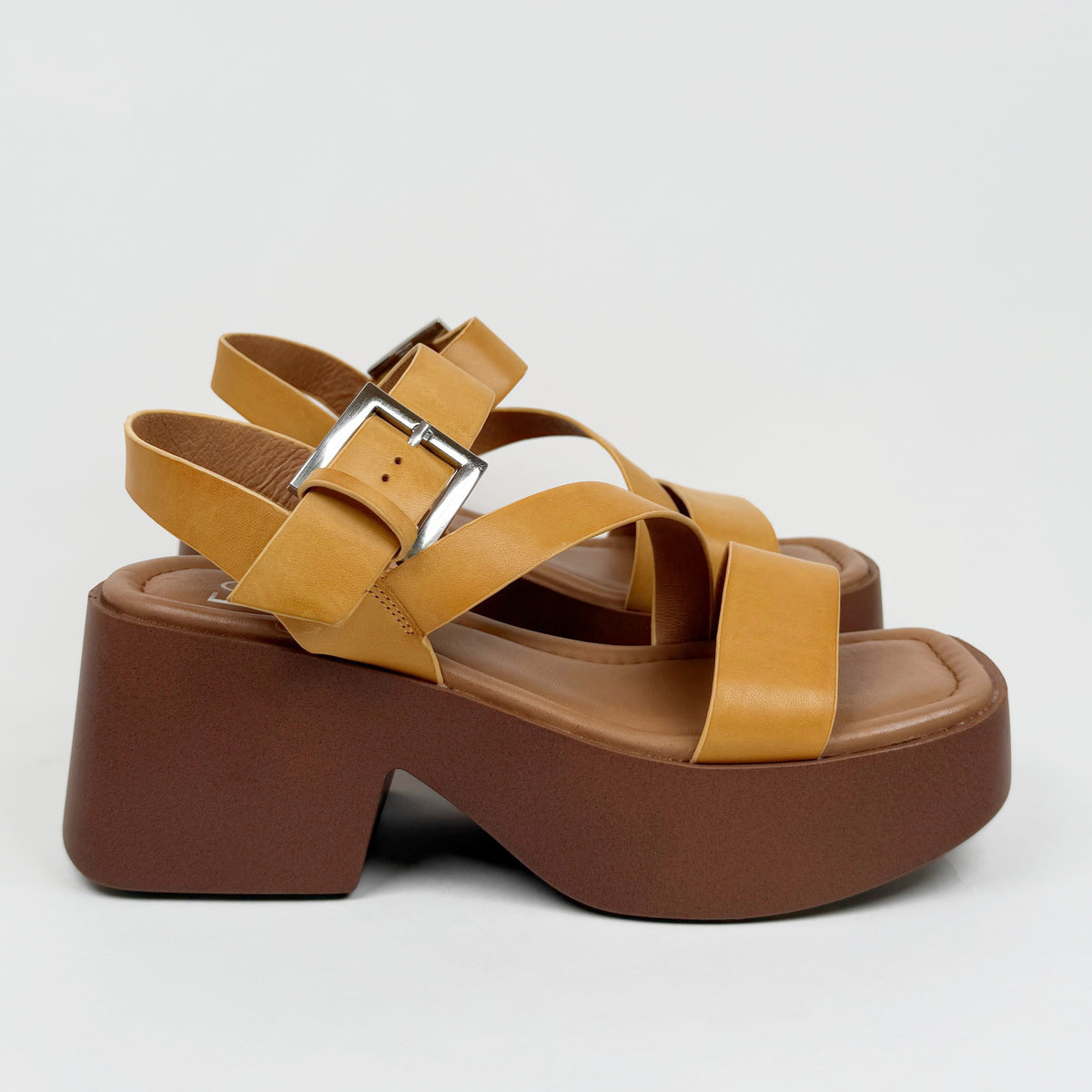 eos parisa sunflower EOS