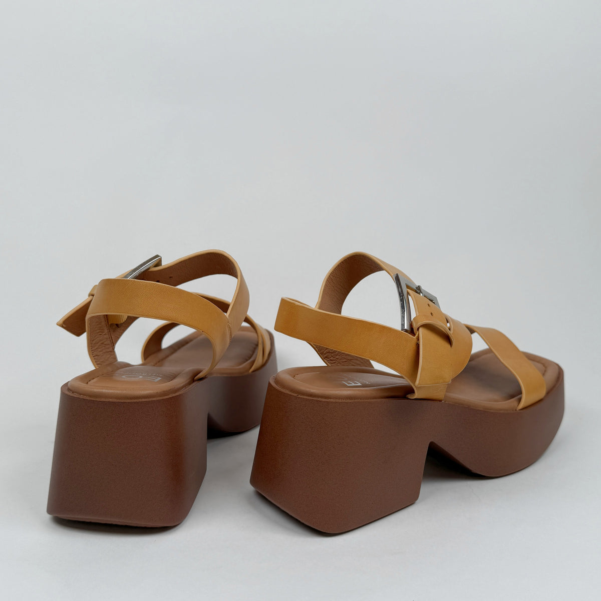 eos parisa sunflower