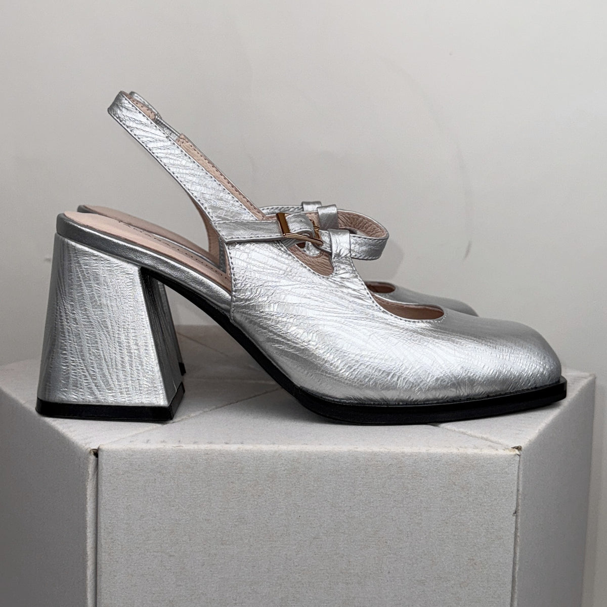 Tamara Baylor silver