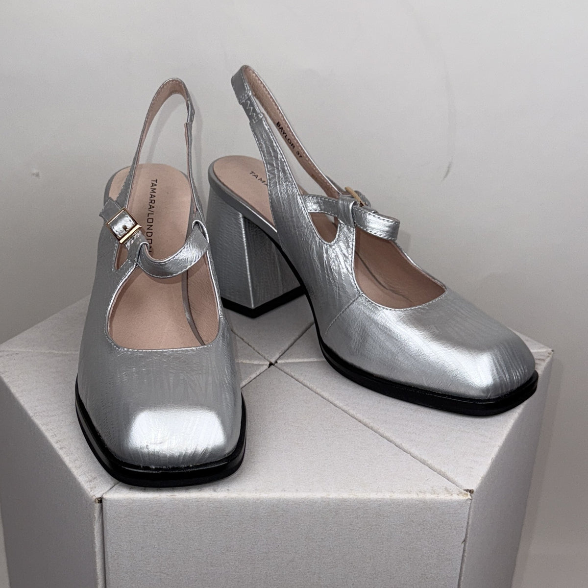 Tamara Baylor silver