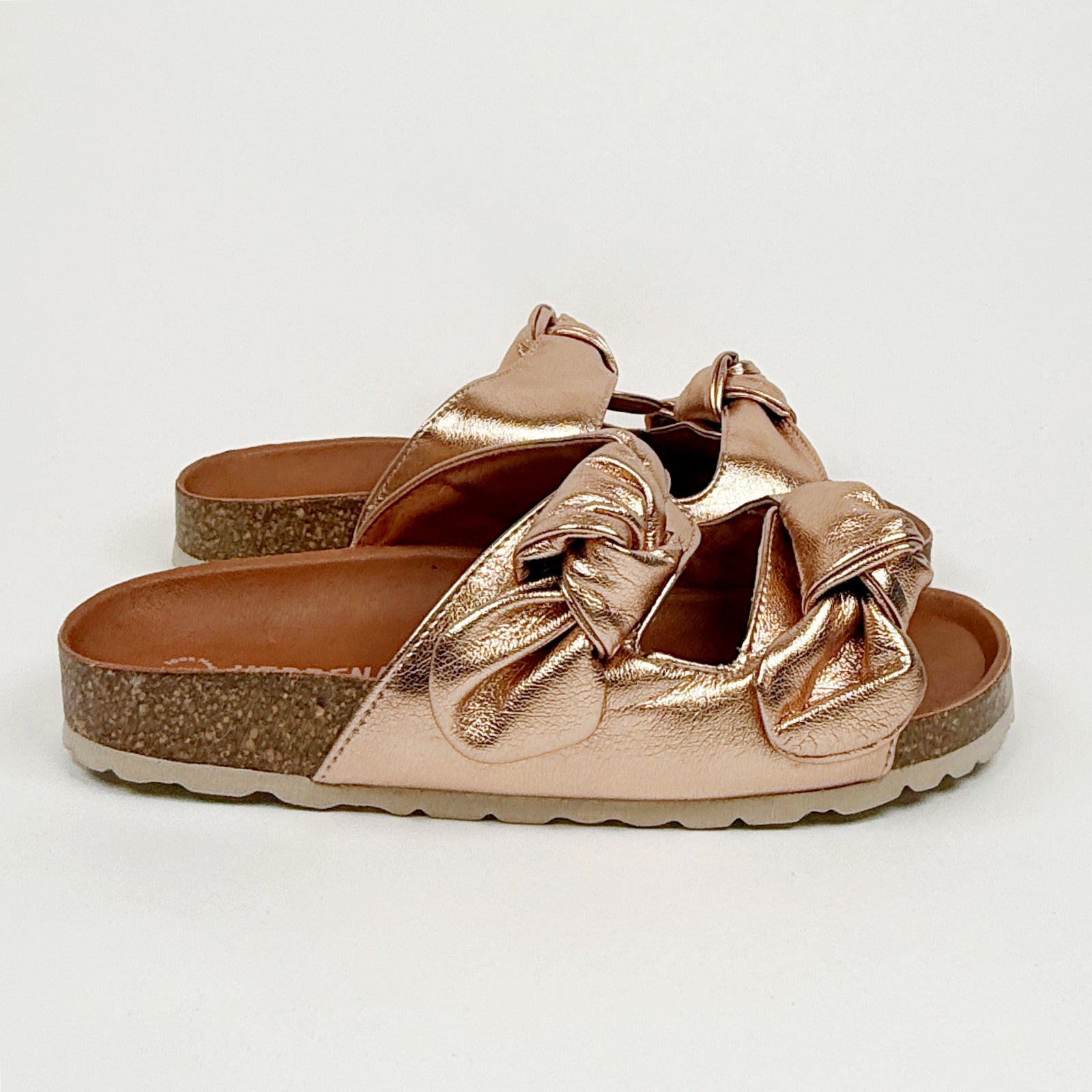 Verbenas rain monrovia Verbenas