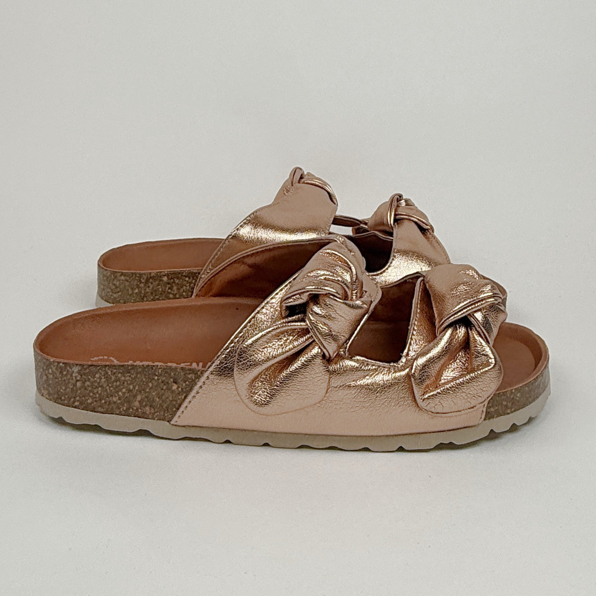 Verbenas rain monrovia