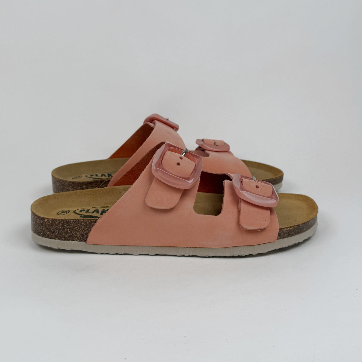 Plakton Florida Sinai