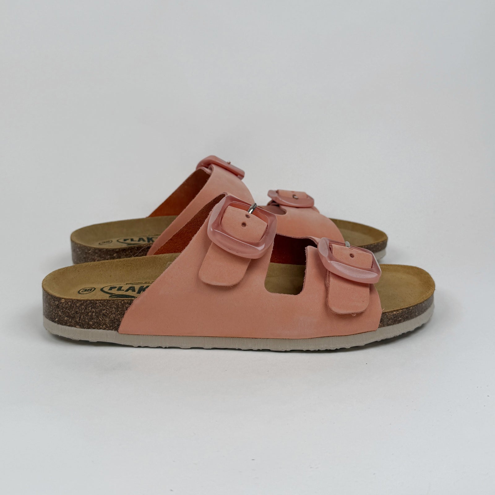 Plakton Florida Sinai