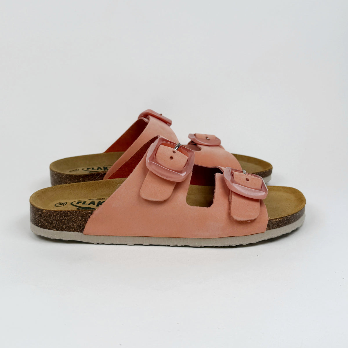 Plakton Florida Sinai Plakton