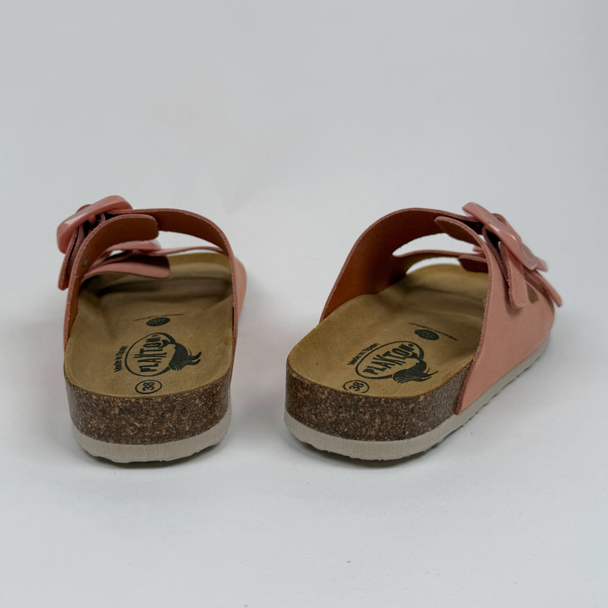 Plakton Florida Sinai