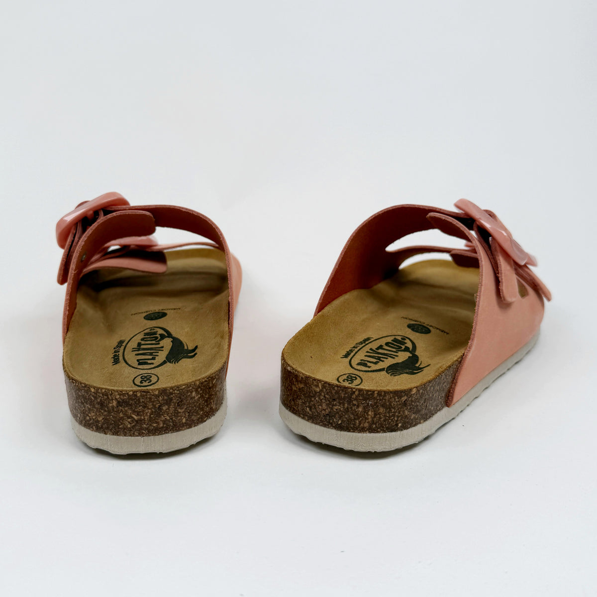 Plakton Florida Sinai Plakton