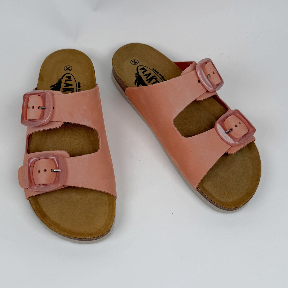 Plakton Florida Sinai